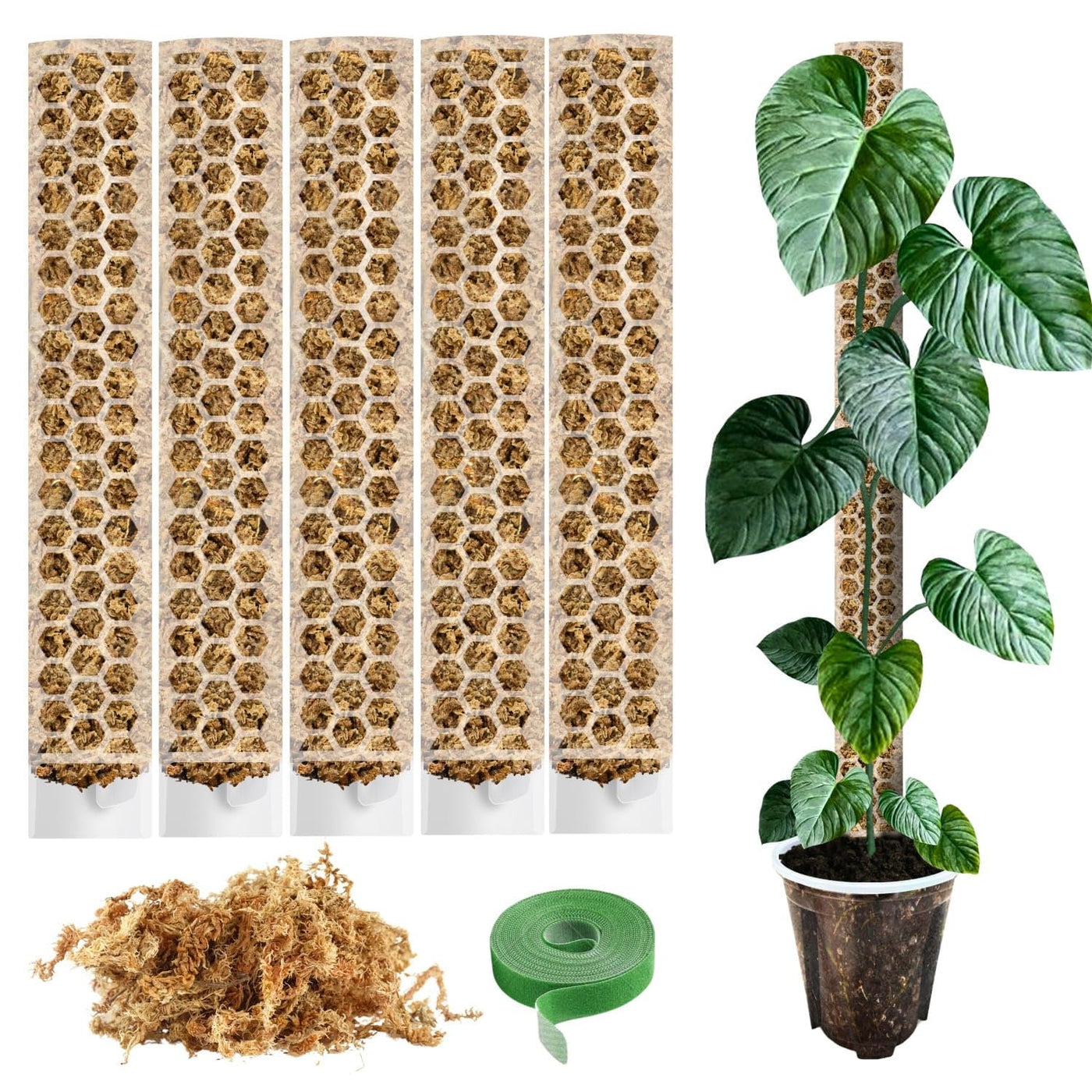 Moosstab für Monstera 5 x 39 cm - Erweiterbare Monstera Rankhilfe & Zubehör-Set - Befestigung für Kletterpflanzen