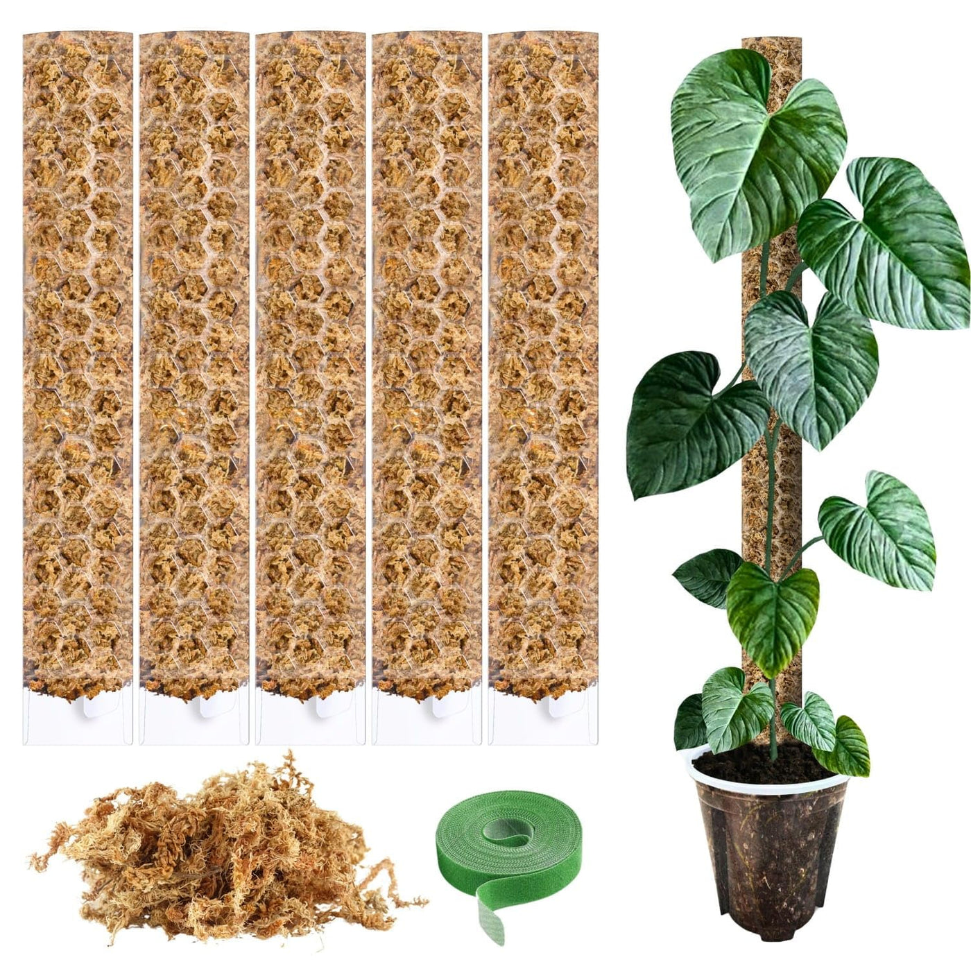 Moosstab für Monstera 5 x 39 cm - Erweiterbare Monstera Rankhilfe & Zubehör-Set - Befestigung für Kletterpflanzen