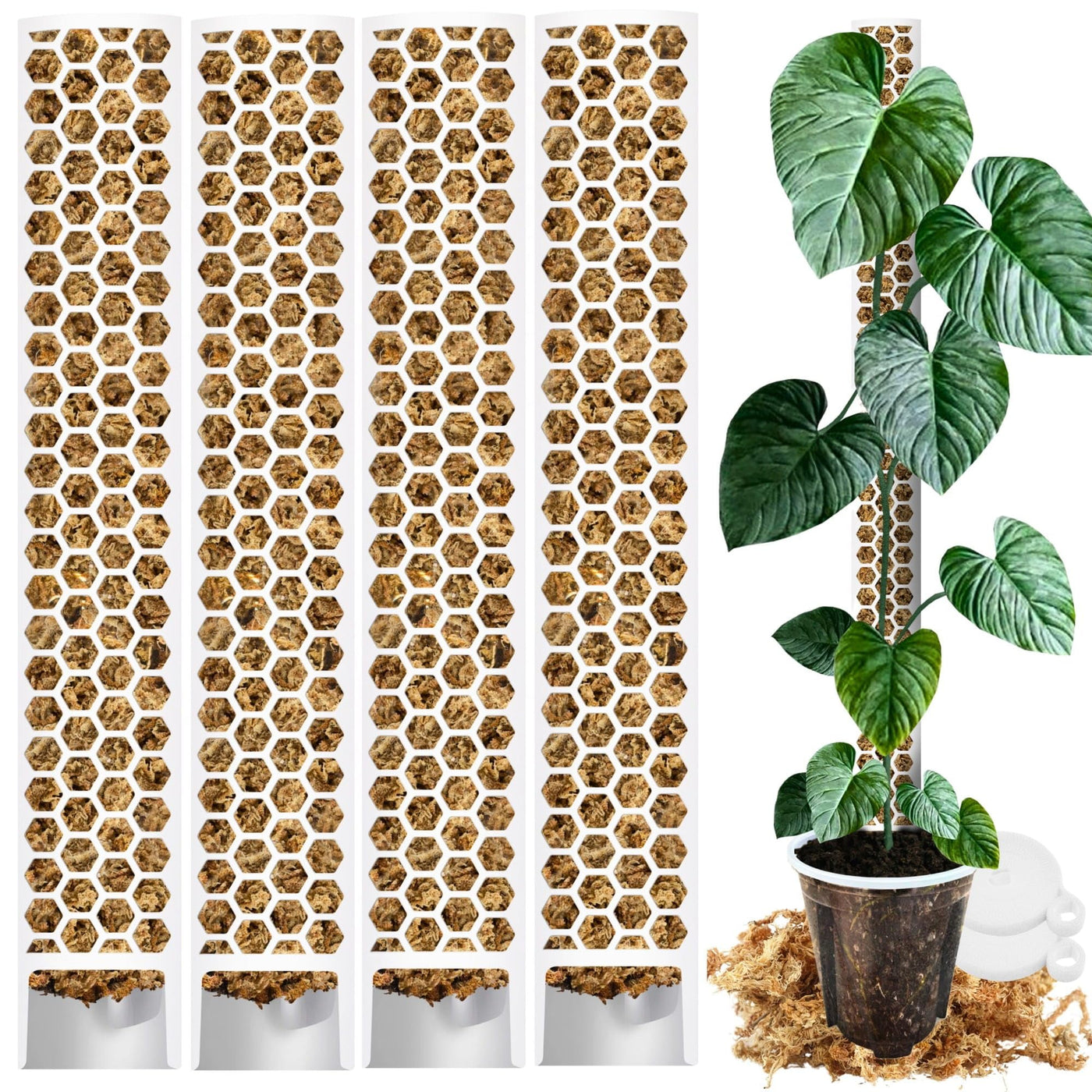 Moosstab für Monstera 5 x 39 cm - Erweiterbare Monstera Rankhilfe & Zubehör-Set - Befestigung für Kletterpflanzen