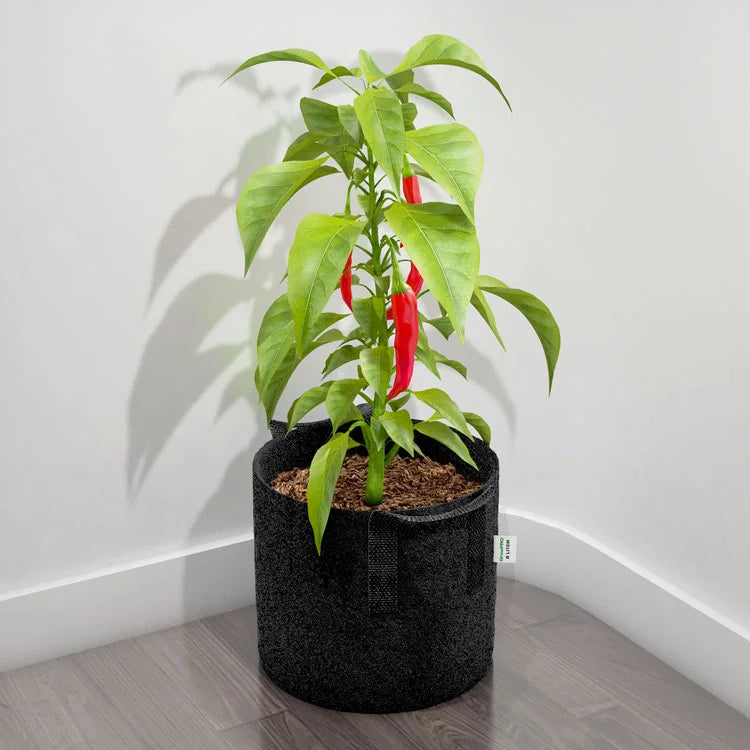 GrowPro Stoffsäcke für Pflanzen - scene