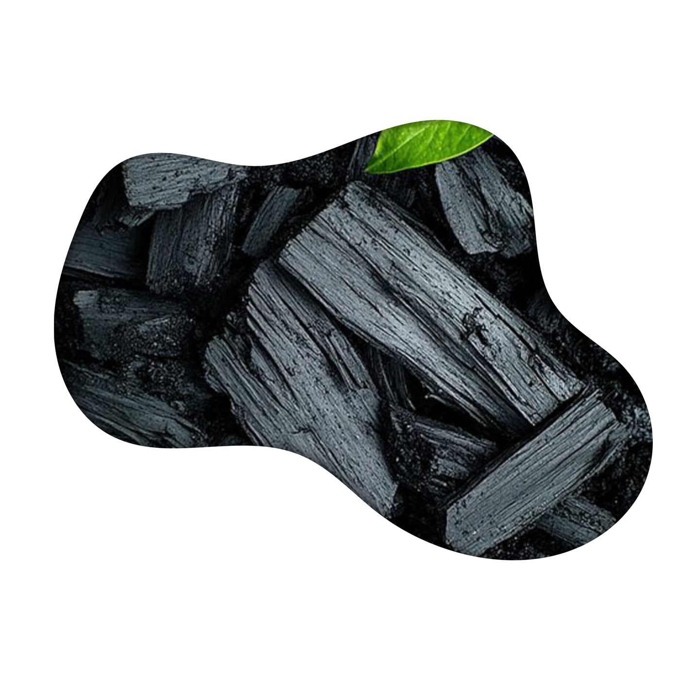LEAFerAktivkohle™ Premium-Aktivkohle