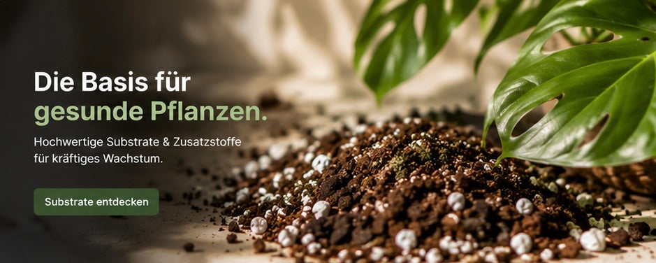 Substrate- Basis für gesunde Pflanzen