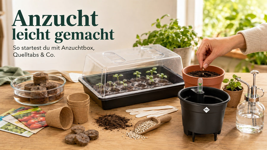 Anzucht leicht gemacht