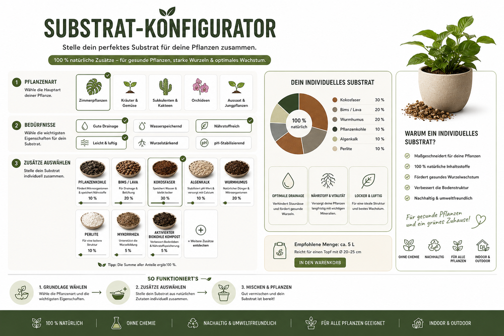 Blog Substrate Konfiguration 