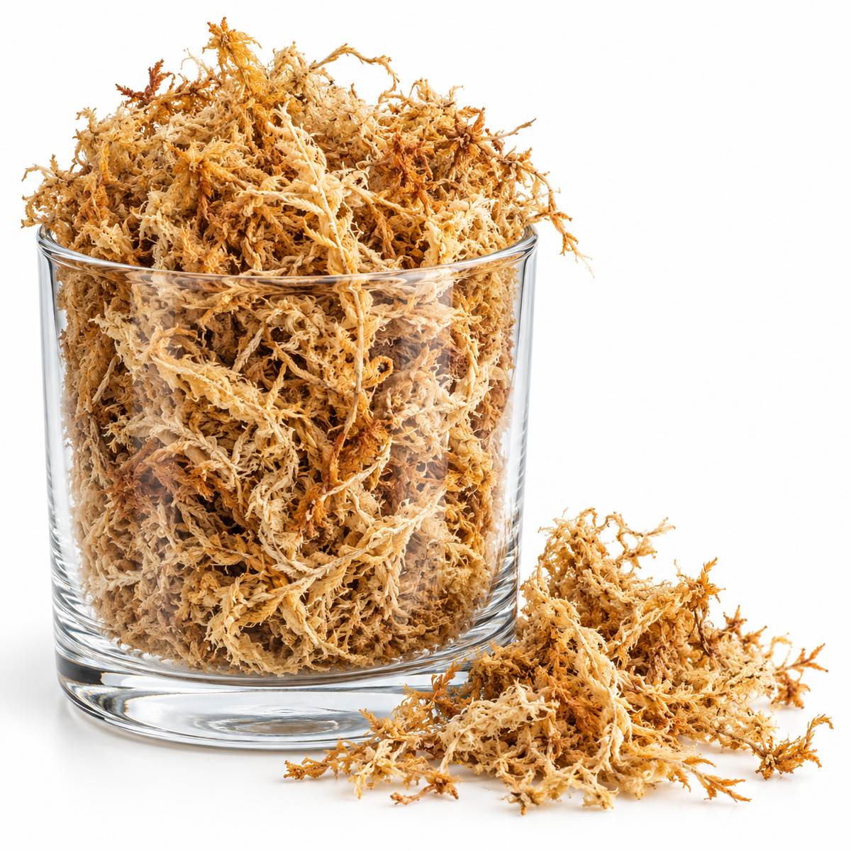 Sphagnum-Moos – für Stecklinge & Aroiden