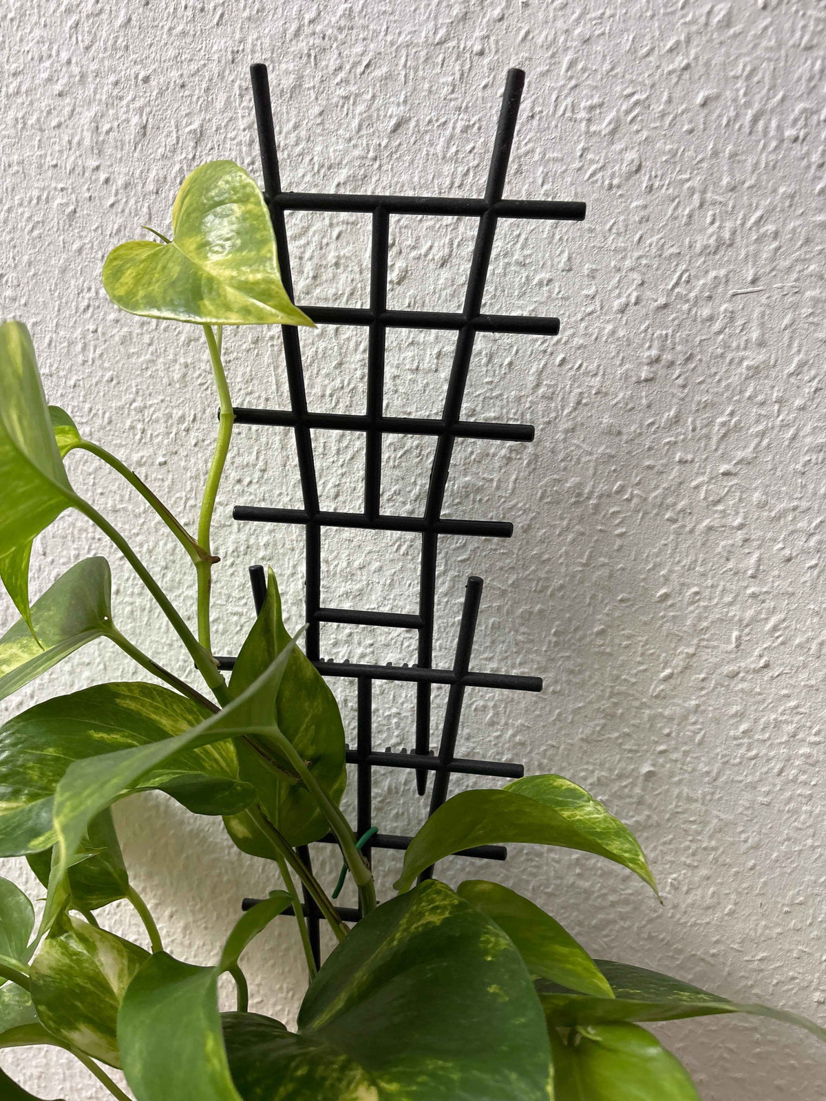 Schwarze modulare Rankhilfe aus Metall von LEAFerservice, ideal für Kletterpflanzen im Garten, sichtbare, stabile Konstruktion
