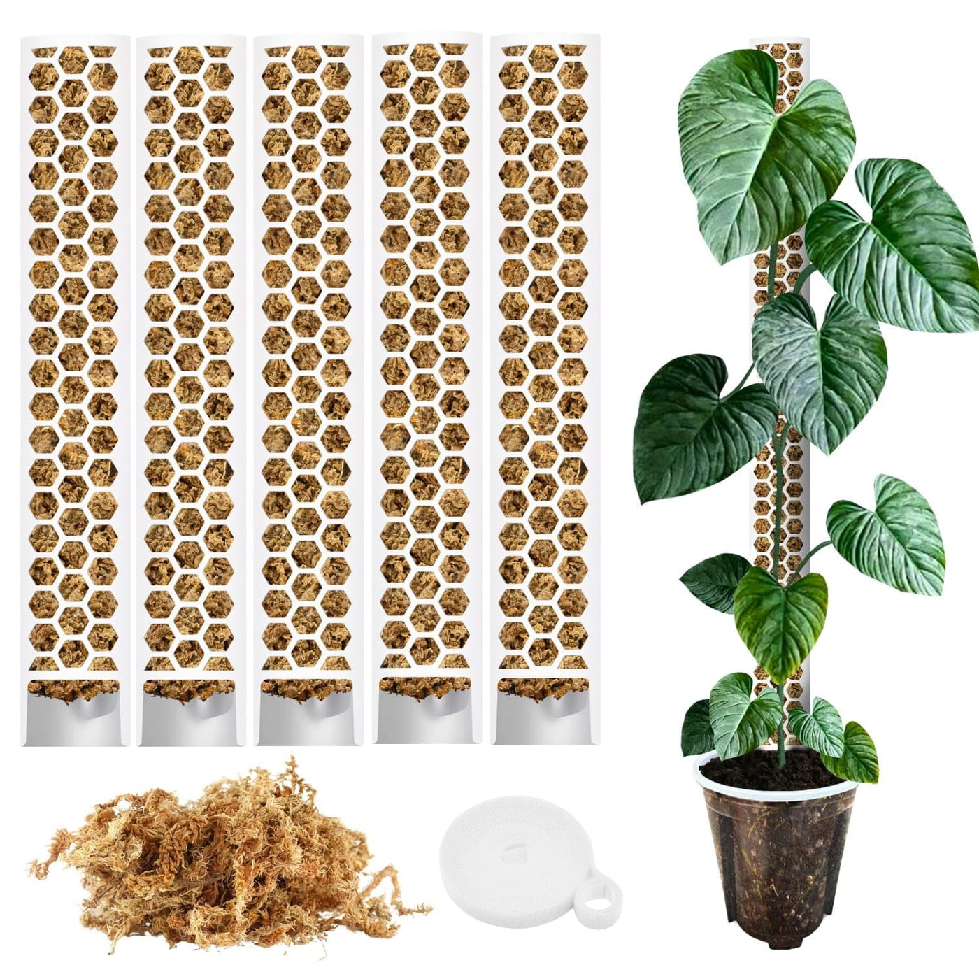 Moosstab für Monstera 5 x 39 cm - Erweiterbare Monstera Rankhilfe & Zubehör-Set - Befestigung für Kletterpflanzen