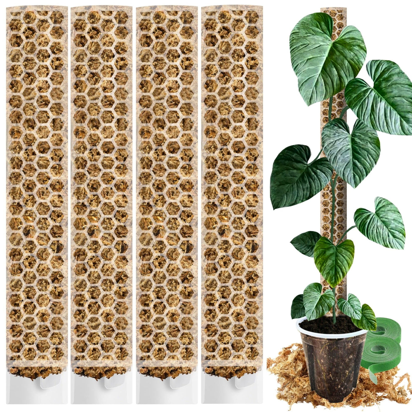 Moosstab für Monstera 5 x 39 cm - Erweiterbare Monstera Rankhilfe & Zubehör-Set - Befestigung für Kletterpflanzen