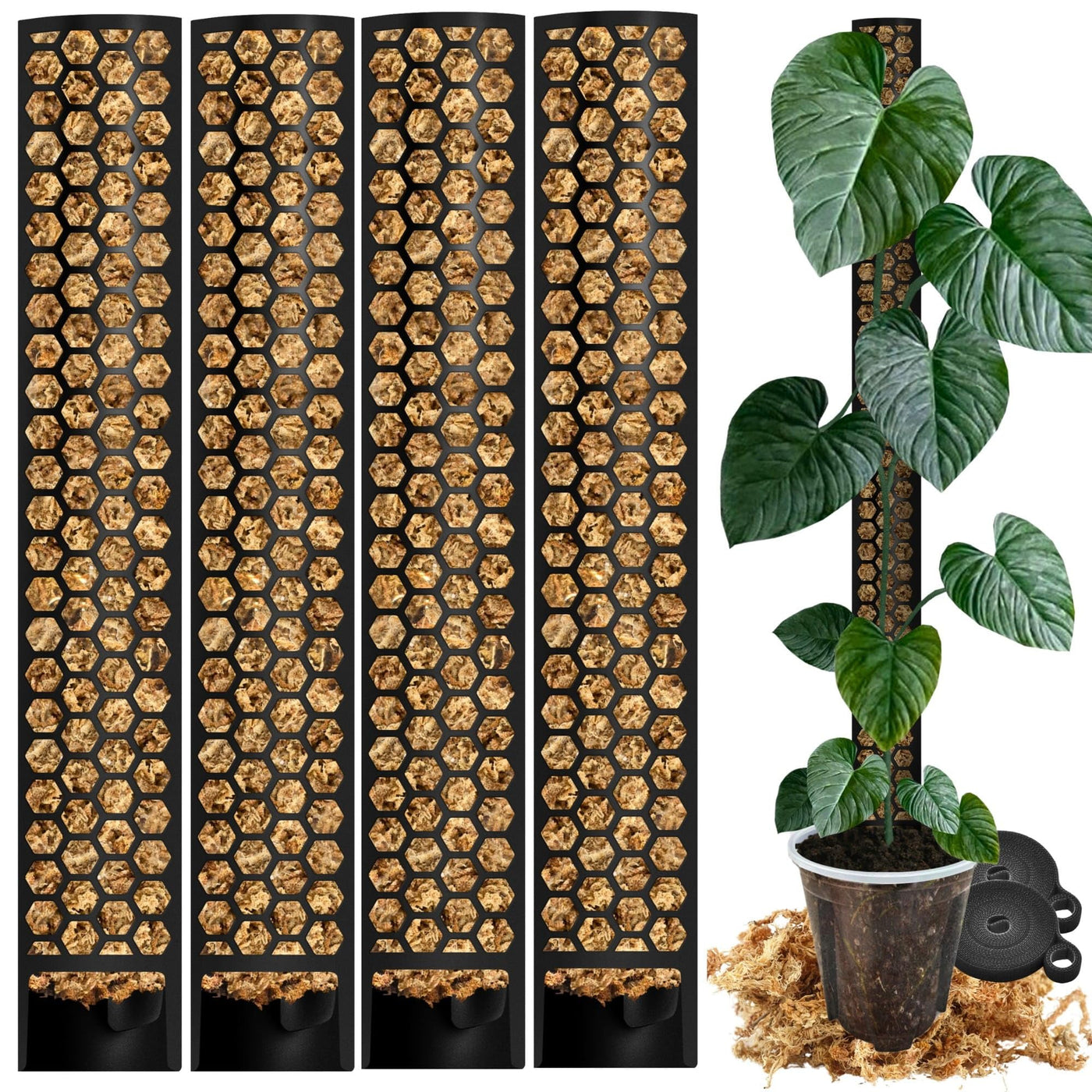 Moosstab für Monstera 5 x 39 cm - Erweiterbare Monstera Rankhilfe & Zubehör-Set - Befestigung für Kletterpflanzen