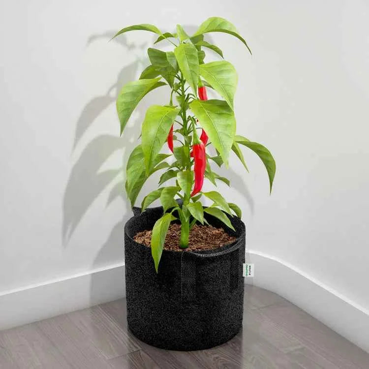 Atmungsaktiver GrowPRO Stofftopf mit Untersetzer für Pflanzen, aus robustem Stoff, ideal für gesunde Pflanzenpflege.