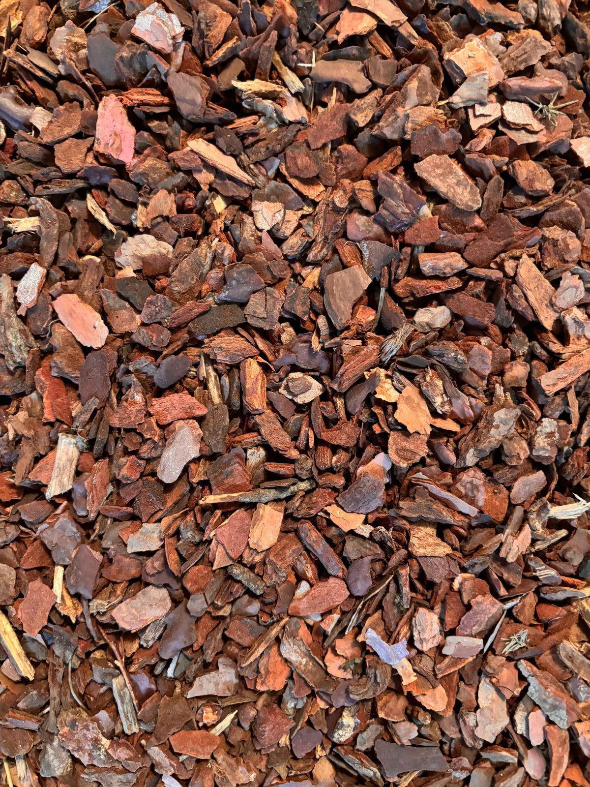 Grober Pinienrinde Substratzusatz von LEAFerservice, natürliche Rinde für Pflanzen- und Gartenboden.