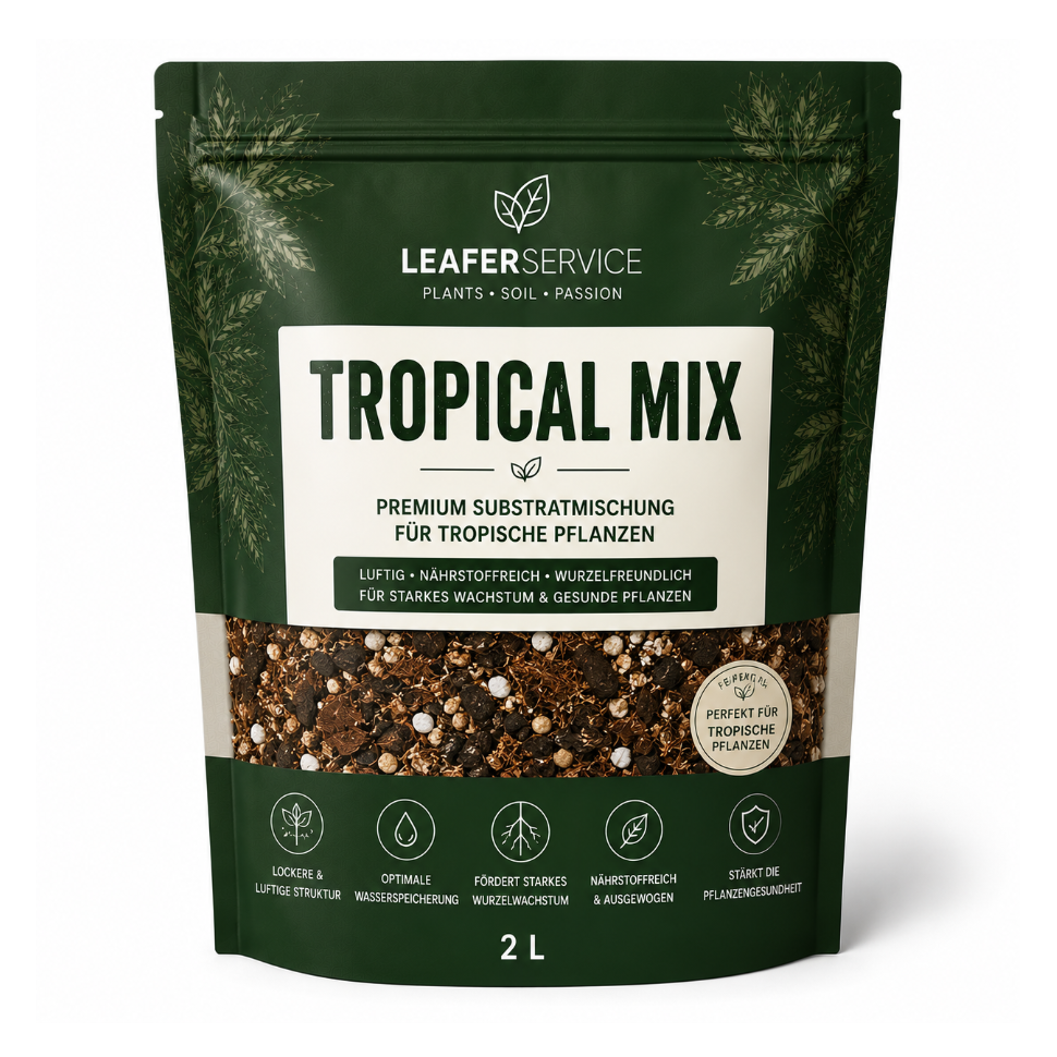 Tropical Mix im Efeutute Hänge-Set