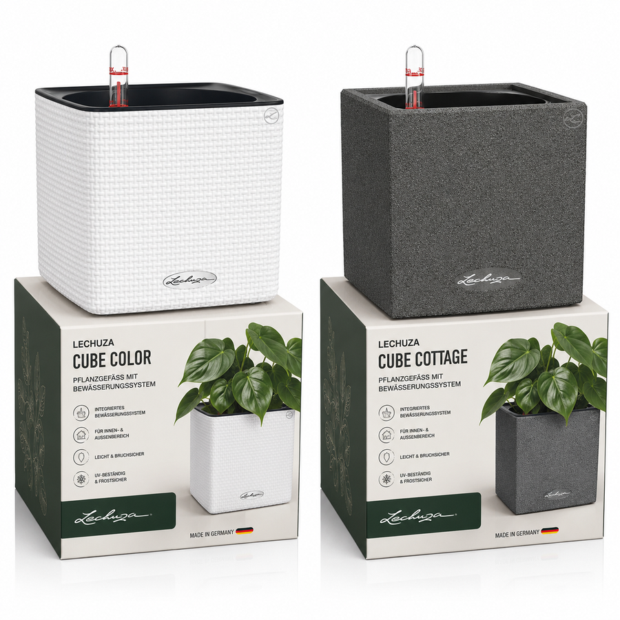 Lechuza Cube Color & Lechuza Cube Canto