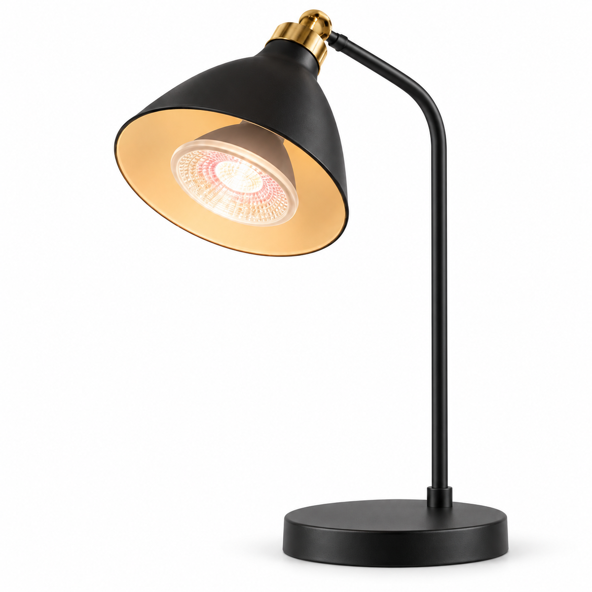 GoLeaf PAR38 E27 Vollspektrum-Pflanzenlampe 10W – Studio-Anwendungsbild in schwarzer Leuchtenfassung