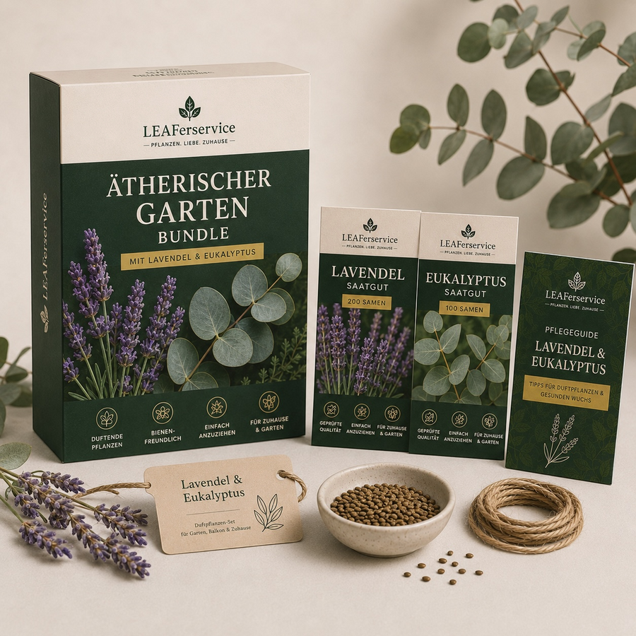 Lavendel-Saatgut von LEAFerservice, kleine Samen für den Anbau von Lavendel im Garten, natürliche Pflanzensamen.