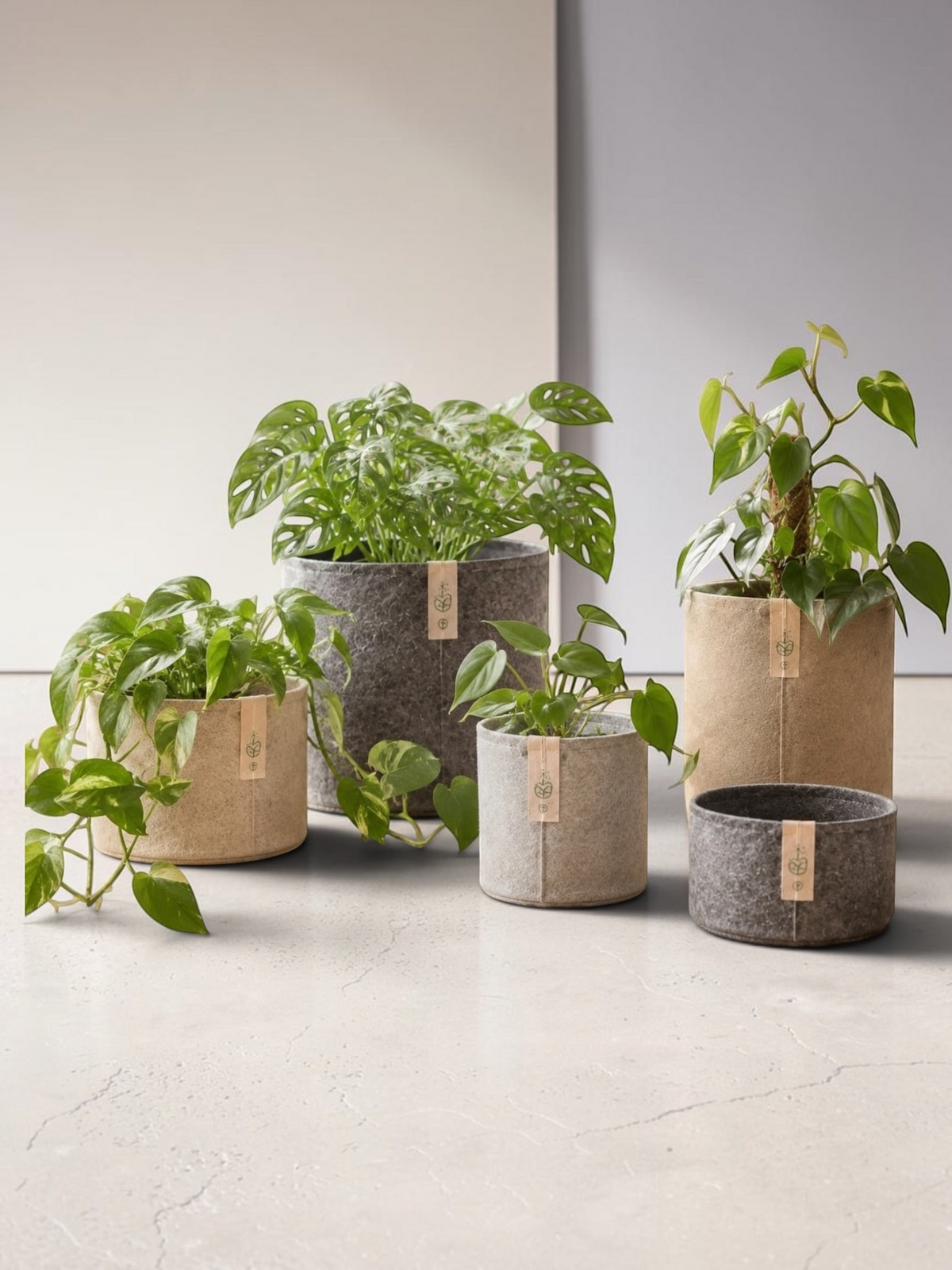 Grauer Filz-Stofftopf von LEAFerservice, atmungsaktiver Pflanzsack für Pflanzen und Garten, zeigt den Stofftopf mit Pflanzen.
