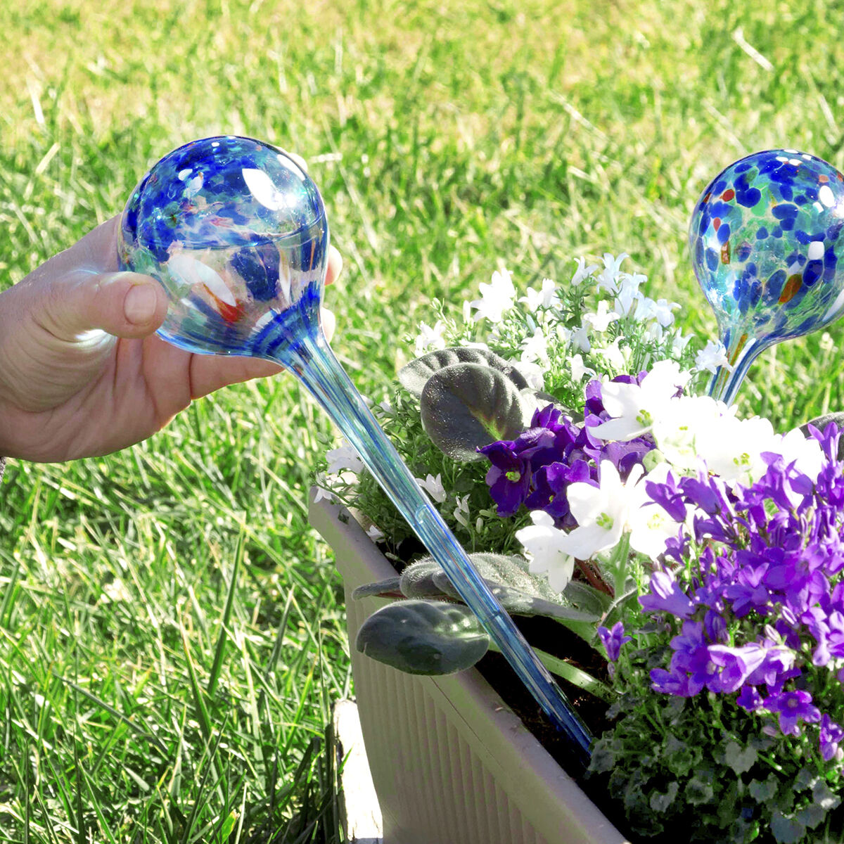 Detailansicht der InnovaGoods Aqua·Loon Bewässerungskugeln aus blauem Glas