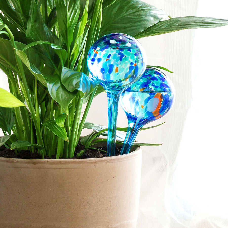 InnovaGoods Aqua·Loon Bewässerungskugeln aus blauem Glas, 2er-Set