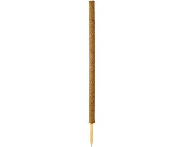 Kokosstab als natürliche Rankhilfe mit Holzspitze für Zimmer- und Kletterpflanzen