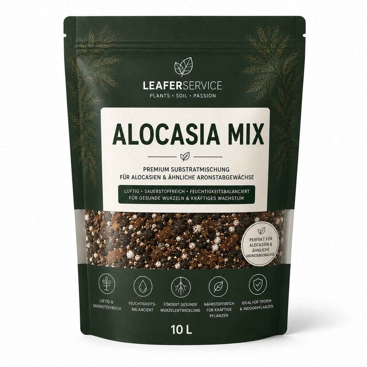 Alocasia Mix als Bestandteil des Aroid Umtopf-Sets