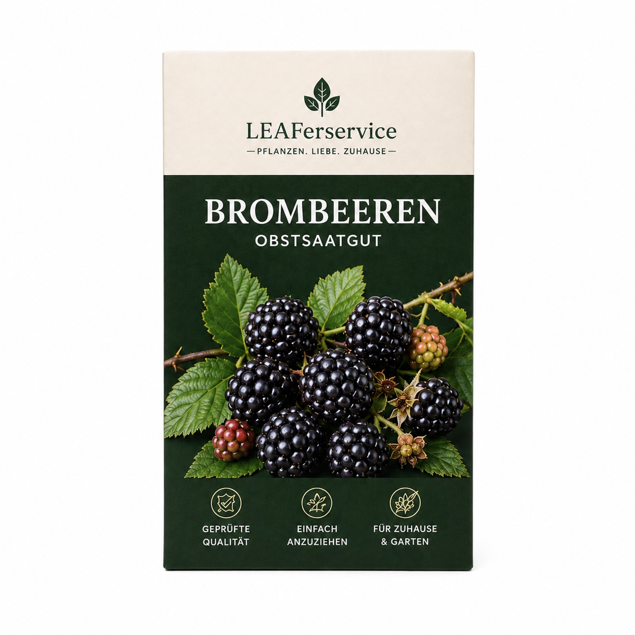 Brombeeren Obstsaatgut von LEAFerservice auf weißem Hintergrund