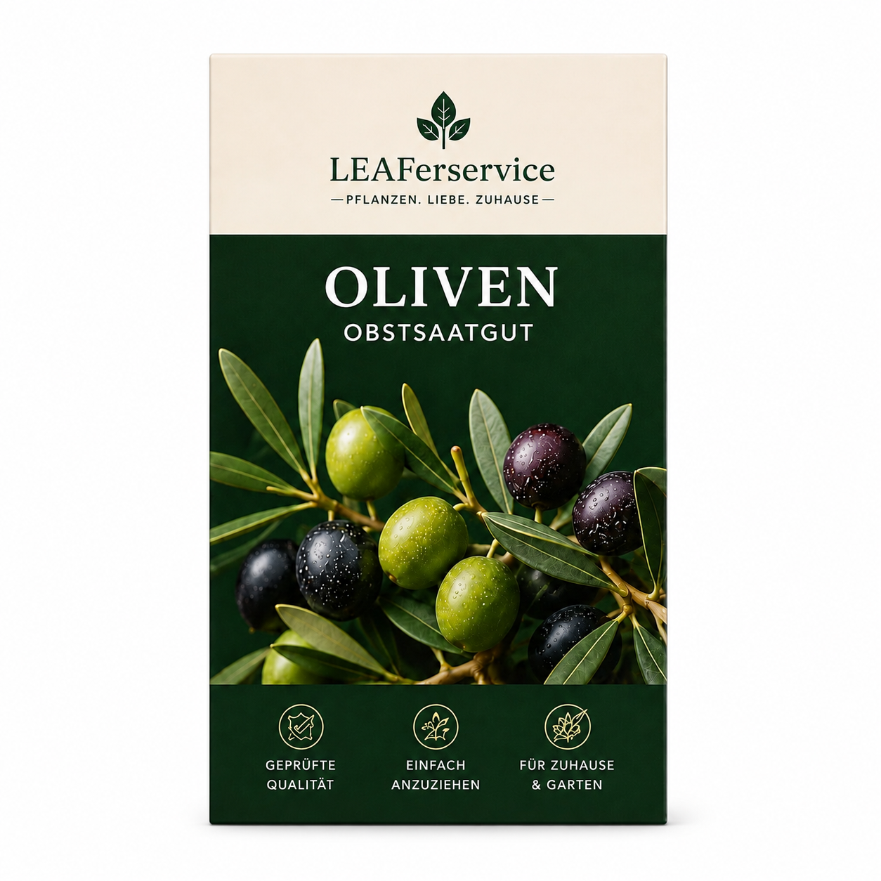 Oliven Obstsaatgut von LEAFerservice auf weißem Hintergrund