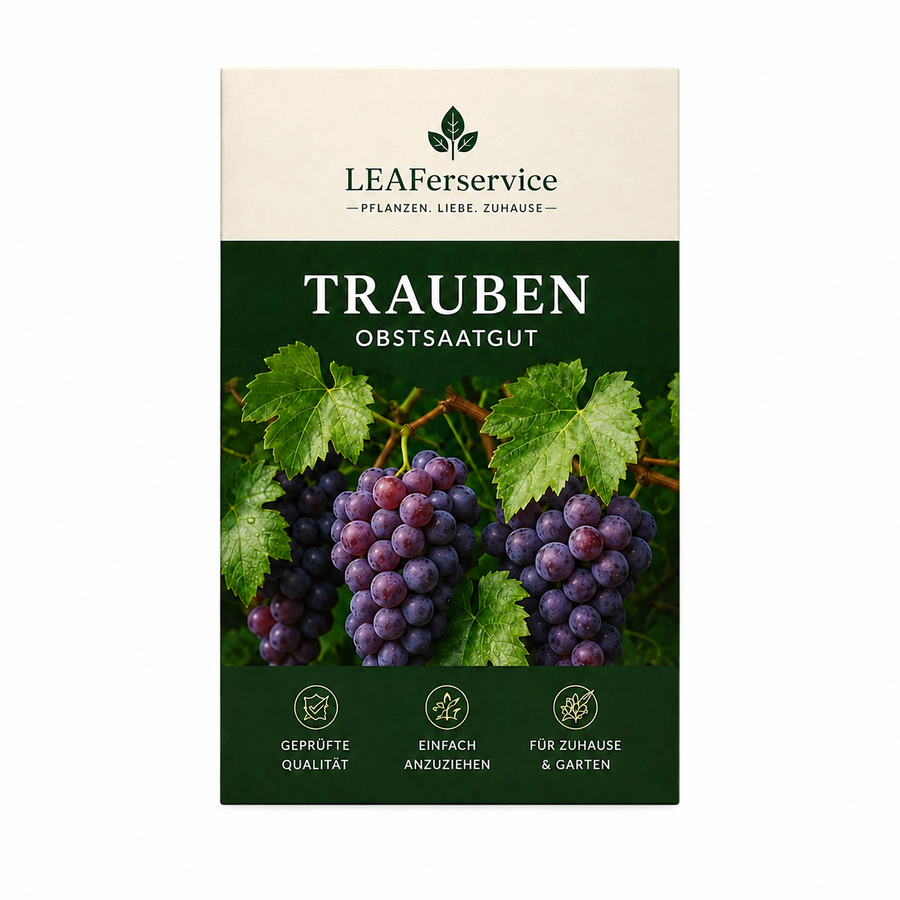 Trauben Obstsaatgut von LEAFerservice auf weißem Hintergrund