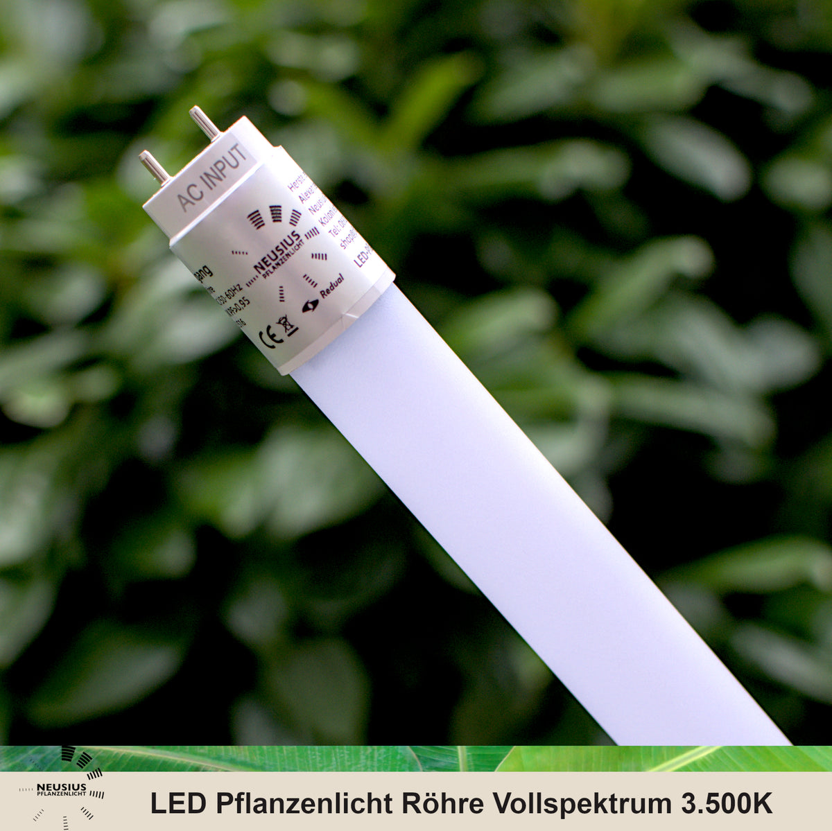 NEUSIUS LED-Pflanzenlicht-Röhre Vollspektrum – Herstellerfoto der 60/120-cm-T8-Serie