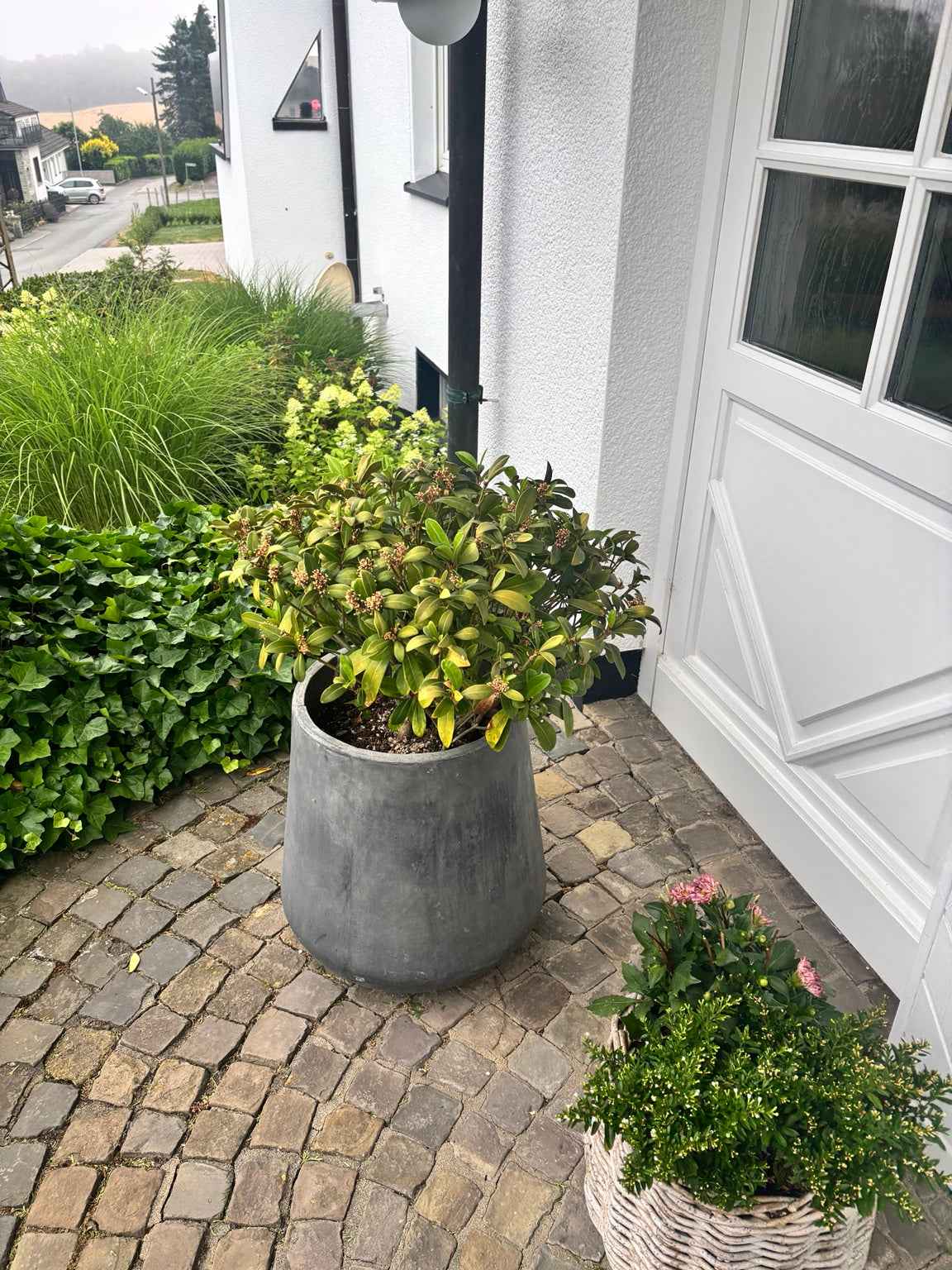 Großer grauer Pflanzkübel mit Drainageloch von LEAFerservice für Eingangsbereich und Terrasse im Außenbereich.