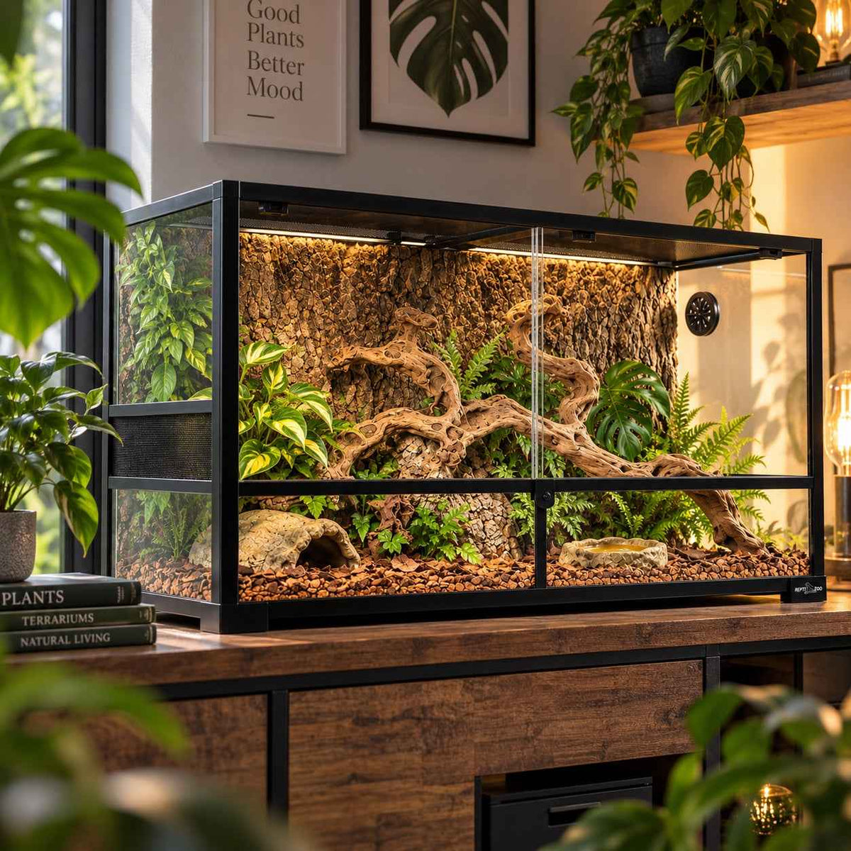 Phailozoo REPMAC 120G Pflanzenterrarium 4×2×2