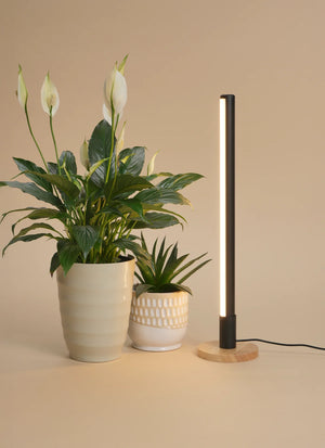 Soltech Alta™ vertikaler Standfuß mit Grove™ Grow Light neben Zimmerpflanzen