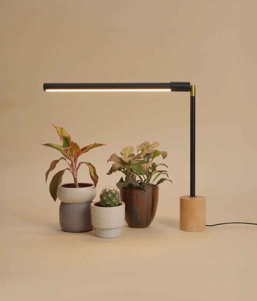 Soltech Rise & Shine Bundle LED-Pflanzenbeleuchtung