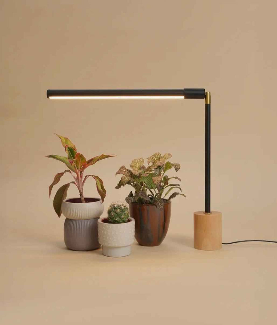 Soltech Rise & Shine Bundle LED-Pflanzenbeleuchtung