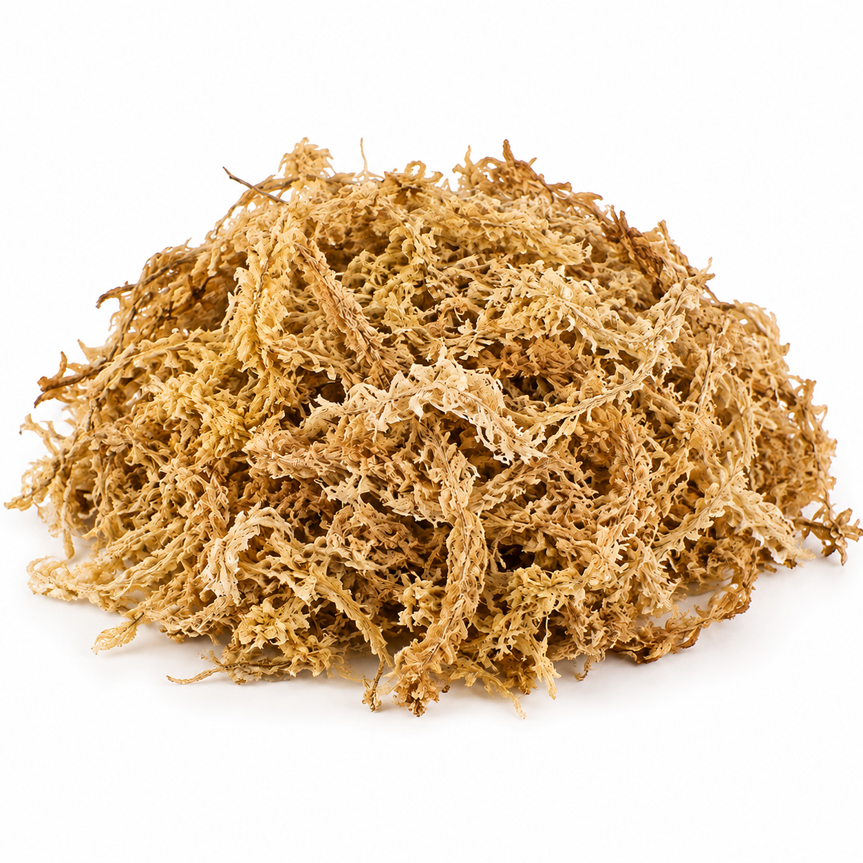 Helles, langfaseriges Sphagnum-Moos auf weißem Hintergrund mit natürlichem Schatten