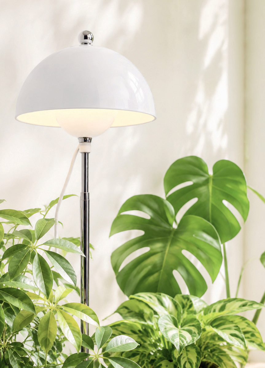 Venso Plant Sun 7W LED-Pflanzenlampe mit Teleskopstab im Wohnraum
