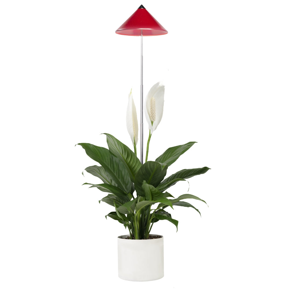 VENSO SUNLiTE 7 W Originalprodukt Rot