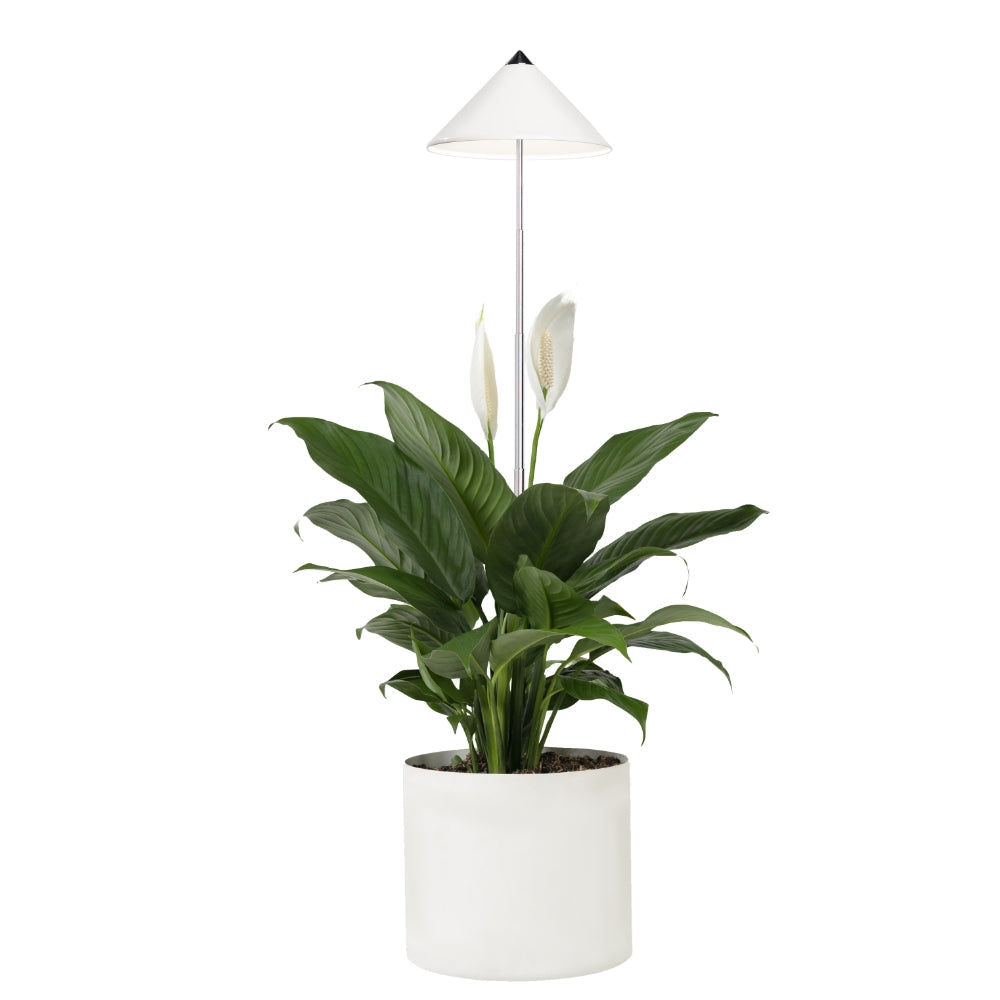 VENSO SUNLiTE 7 W Originalprodukt Weiß
